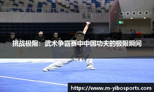挑战极限：武术争霸赛中中国功夫的极限瞬间